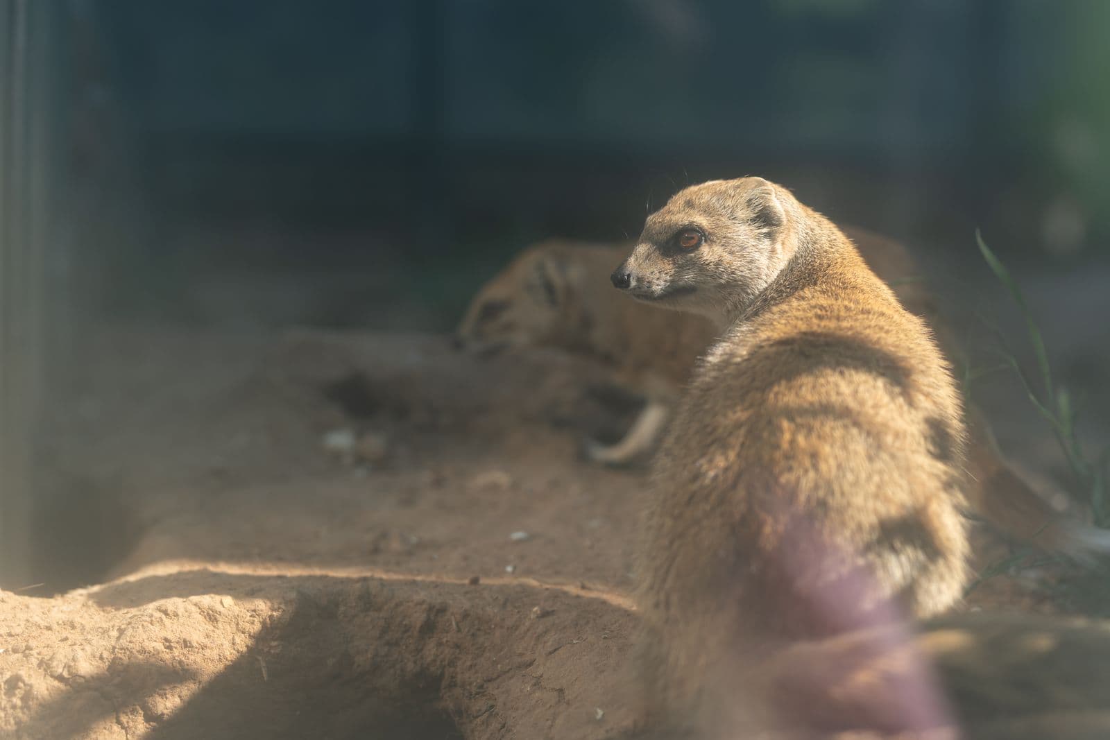 Fotozoo Nap 2026 — 45. kép