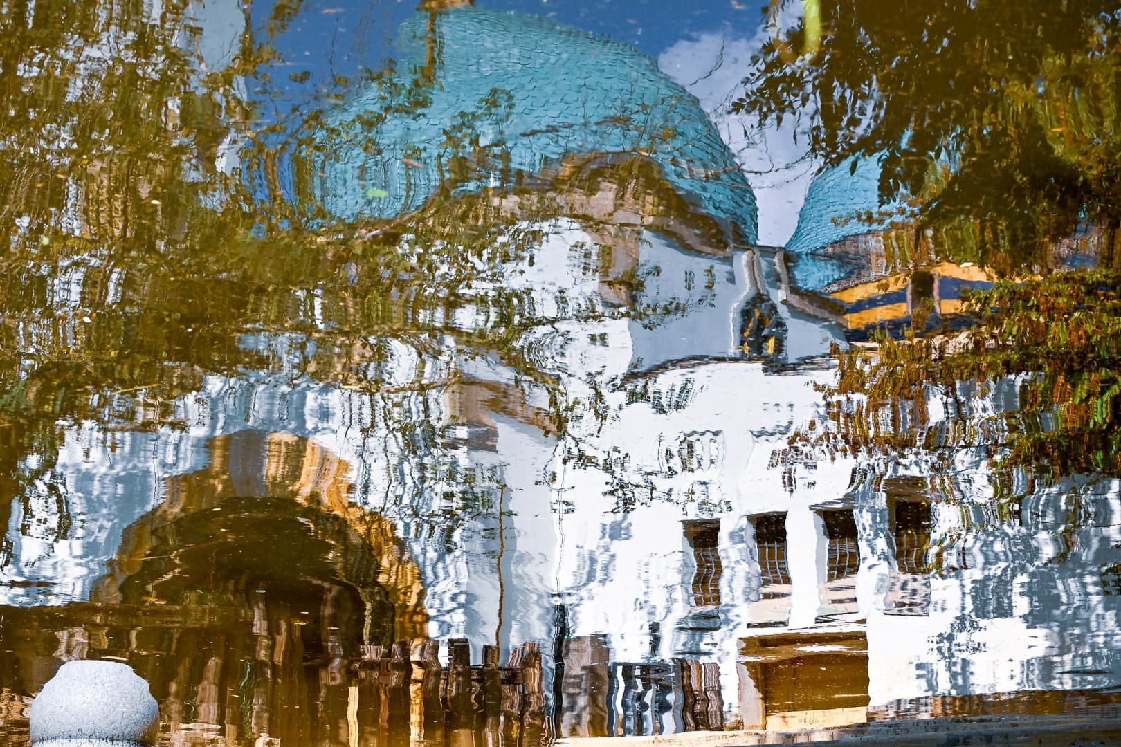 Tükröződve — Francsik Ildikó