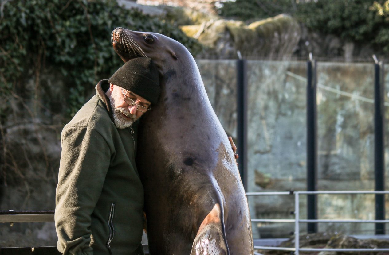 ember és állatkert